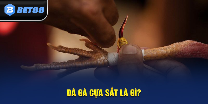 Giới thiệu đá gà cựa sắt